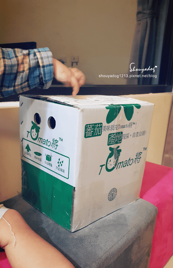 【點心零嘴】好吃又ㄙㄨㄚˋ嘴的Tomato將手工米菓系列