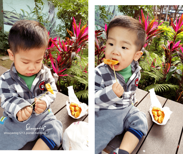 【觀光景點】逛街購物蹓小孩吃點心一次完成的五分埔公園