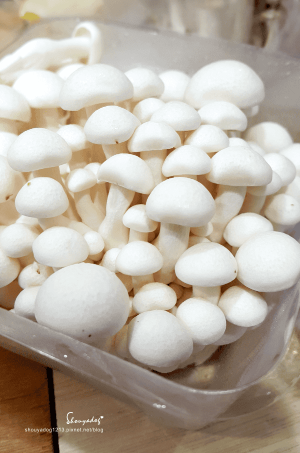 【新鮮食材】煮食好朋友 可愛小菇菇 鮮菇道