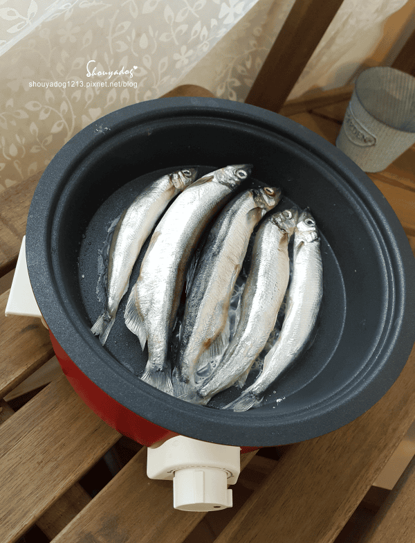 【生活家電】一個人也可以好好吃 輕鬆吃 RECOLTE fete 調理鍋