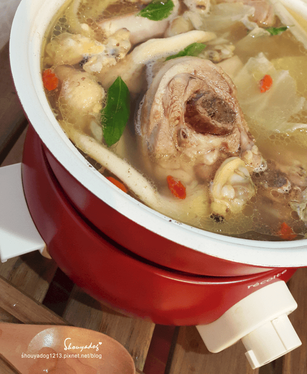 【生活家電】一個人也可以好好吃 輕鬆吃 RECOLTE fete 調理鍋