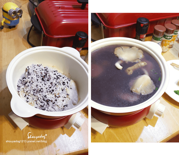 【生活家電】一個人也可以好好吃 輕鬆吃 RECOLTE fete 調理鍋