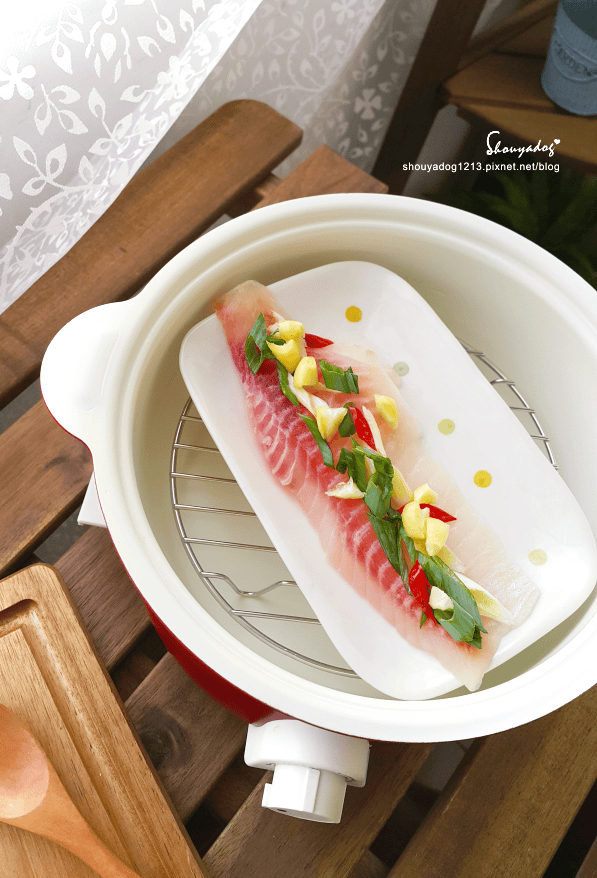 【生活家電】一個人也可以好好吃 輕鬆吃 RECOLTE fete 調理鍋