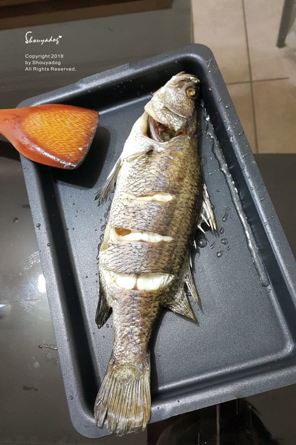 【廚房家電】烘焙 燒烤 發酵 解凍 烤果乾 一機多用 NOR