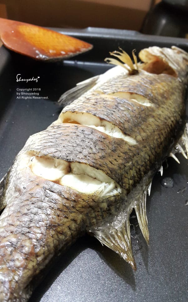 【廚房家電】烘焙 燒烤 發酵 解凍 烤果乾 一機多用 NOR