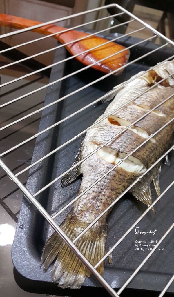 【廚房家電】烘焙 燒烤 發酵 解凍 烤果乾 一機多用 NOR