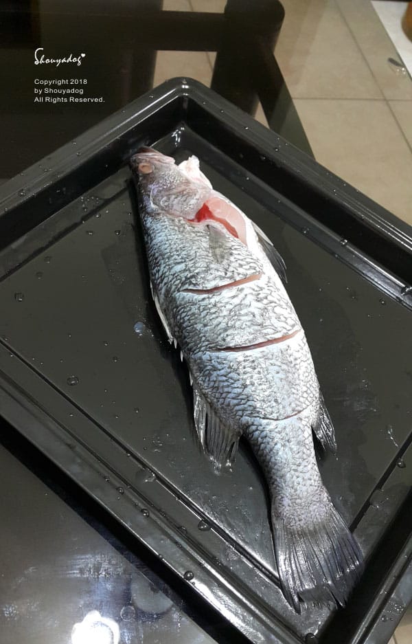 【廚房家電】烘焙 燒烤 發酵 解凍 烤果乾 一機多用 NOR