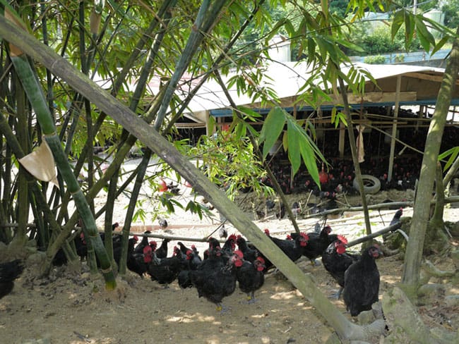 202182_329475310481586_270461937_o.jpg 202182_329475310481586_270461937_o.jpg