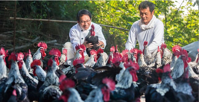 螢幕截圖-2018-09-28-04.16.jpg 螢幕截圖-2018-09-28-04.16.jpg