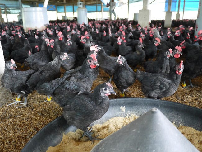 472260_325170327578751_519360611_o.jpg 472260_325170327578751_519360611_o.jpg