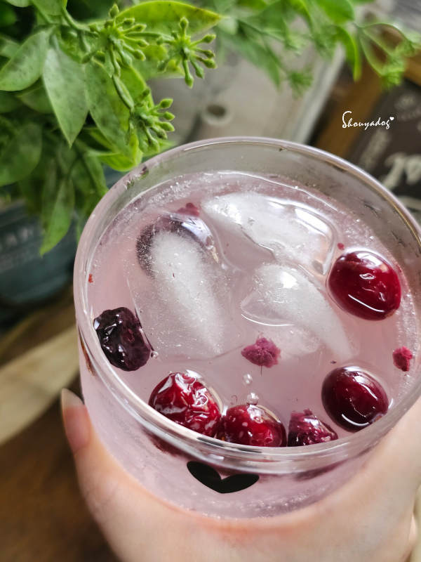 【保健食品】Dr.Hughes休斯生技 休斯一號 奇蹟の大豆