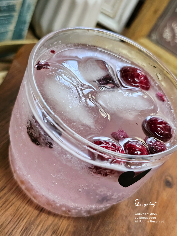 【保健食品】Dr.Hughes休斯生技 休斯一號 奇蹟の大豆