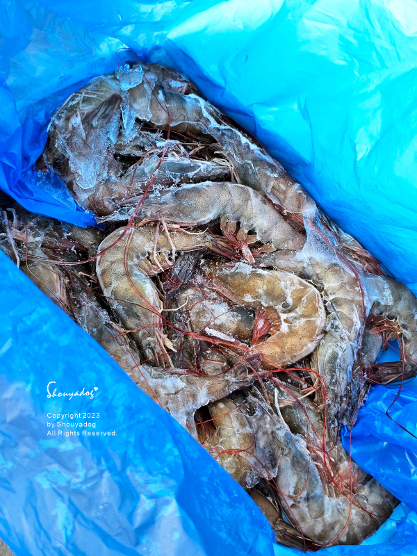 【生鮮宅配】拓野貿易有限公司之橘子魚 中秋烤肉食材 鯖魚片 