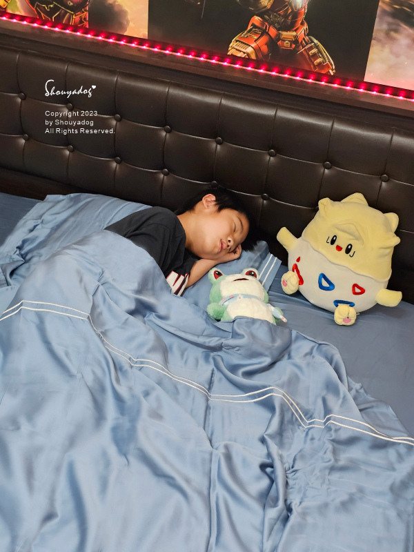 【睡眠寢具】合隆羽藏 Health Life 台灣百年寢具品