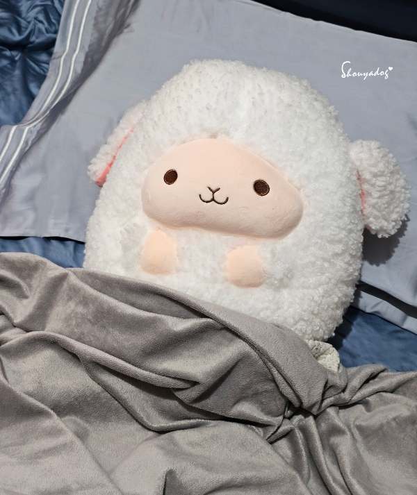 【睡眠寢具】合隆羽藏 Health Life 台灣百年寢具品