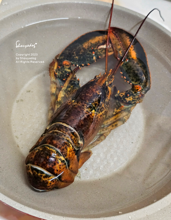 【休閒娛樂】熊嗨星樂園 STAR BEARY 首創親子食玩