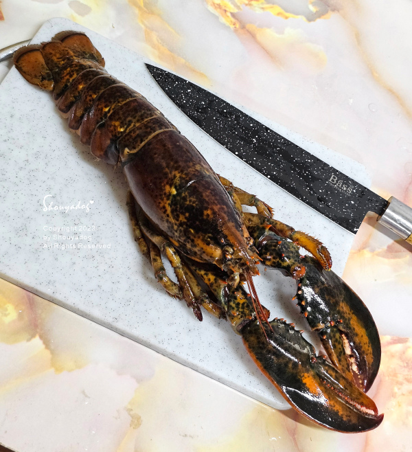 【休閒娛樂】熊嗨星樂園 STAR BEARY 首創親子食玩