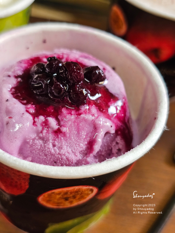 【優格冰淇淋店】SNOW FACTORY 雪坊鮮果優格 法式