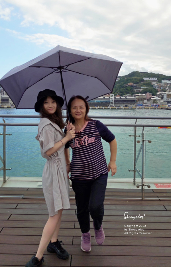 【生活用品】雨之情 輕大簡約時尚摺疊傘 137公分大傘面