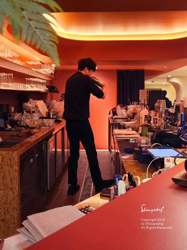 【台北餐酒館】嵩SUNG 法式黑松露油封鴨腿 南洋參巴醬碳烤