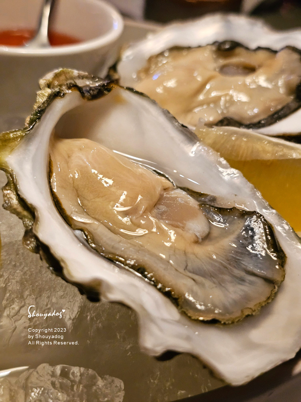 【台北餐酒館】OXI Oyster &Wine live h