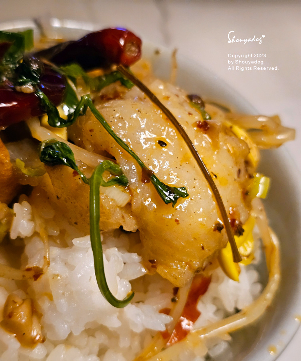 【台北餐酒館】OXI Oyster &Wine live h