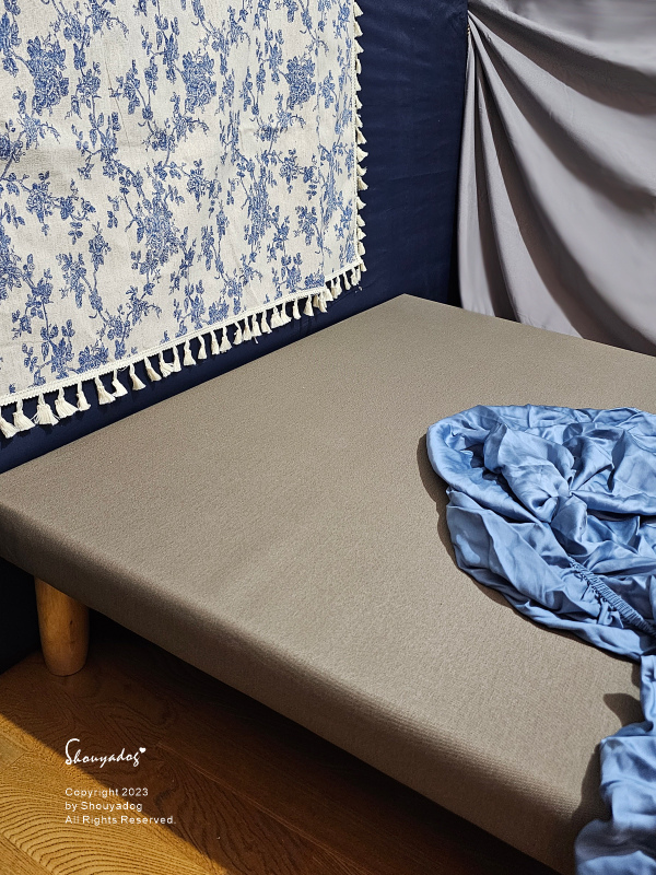 【睡眠寢具】Cosys 慢半拍 小島記憶薄墊 可水洗 外宿獨