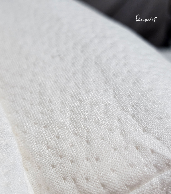 【睡眠寢具】Cosys 慢半拍 小島記憶薄墊 可水洗 外宿獨