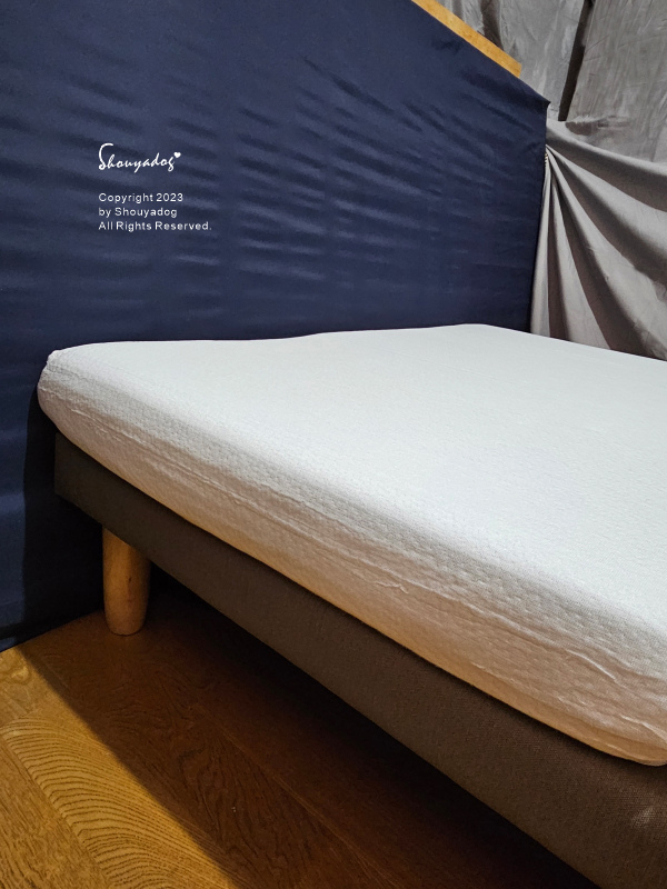 【睡眠寢具】Cosys 慢半拍 小島記憶薄墊 可水洗 外宿獨