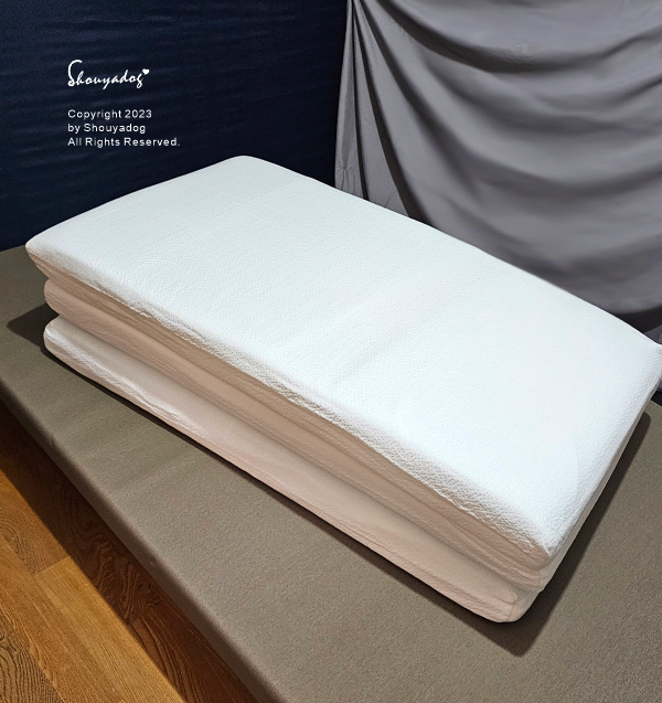 【睡眠寢具】Cosys 慢半拍 小島記憶薄墊 可水洗 外宿獨