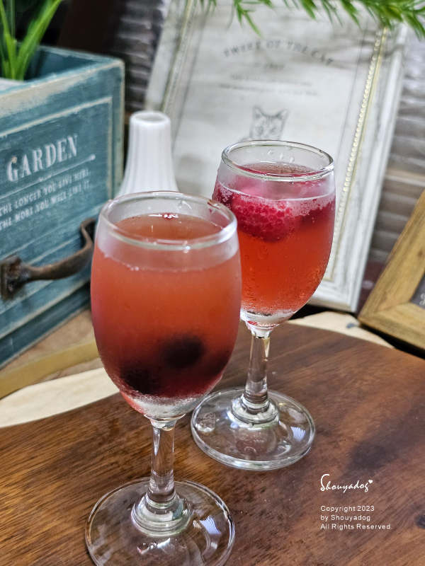 【健康飲品】Kai 有機康普茶 21天完整發酵精釀的不朽茶