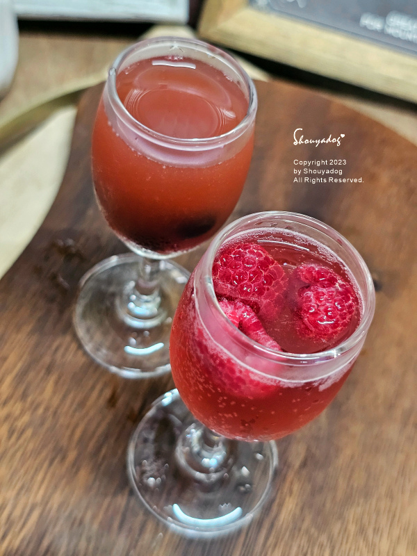 【健康飲品】Kai 有機康普茶 21天完整發酵精釀的不朽茶