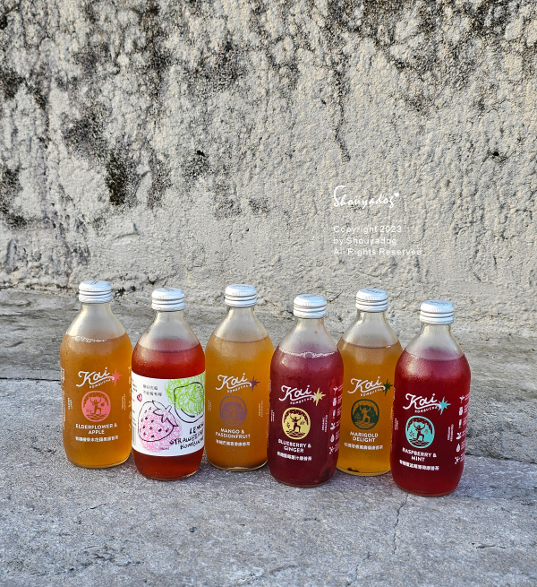 【健康飲品】Kai 有機康普茶 21天完整發酵精釀的不朽茶