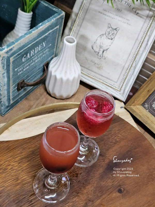 【健康飲品】Kai 有機康普茶 21天完整發酵精釀的不朽茶