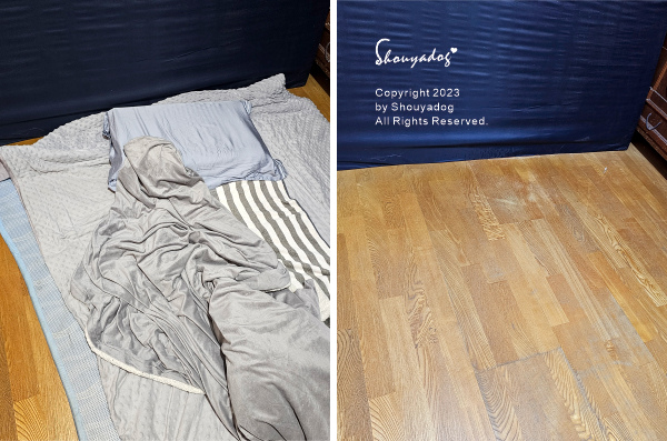 【睡眠寢具】Cosys 慢半拍 小島記憶薄墊 可水洗 外宿獨