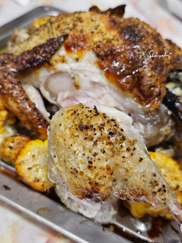 【廚房家電】Coz!i廚膳寶 直噴過熱水蒸氣 炙燒氣炸蒸烤爐 【廚房家電】Coz!i廚膳寶 直噴過熱水蒸氣 炙燒氣炸蒸烤爐