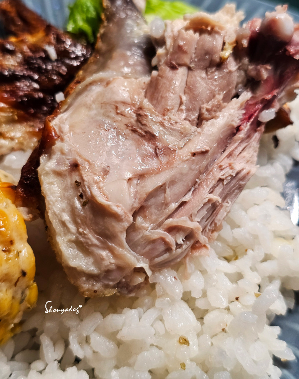 【廚房家電】Coz!i廚膳寶 直噴過熱水蒸氣 炙燒氣炸蒸烤爐 【廚房家電】Coz!i廚膳寶 直噴過熱水蒸氣 炙燒氣炸蒸烤爐