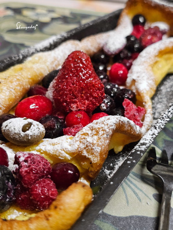 【廚房家電】Coz!i廚膳寶 直噴過熱水蒸氣 炙燒氣炸蒸烤爐 【廚房家電】Coz!i廚膳寶 直噴過熱水蒸氣 炙燒氣炸蒸烤爐