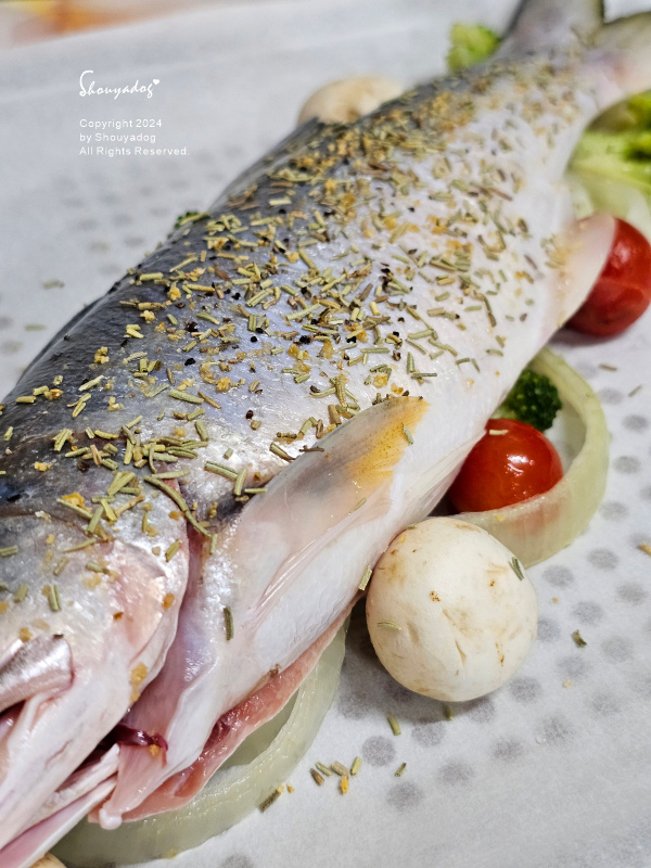 【廚房家電】Coz!i廚膳寶 直噴過熱水蒸氣 炙燒氣炸蒸烤爐 【廚房家電】Coz!i廚膳寶 直噴過熱水蒸氣 炙燒氣炸蒸烤爐