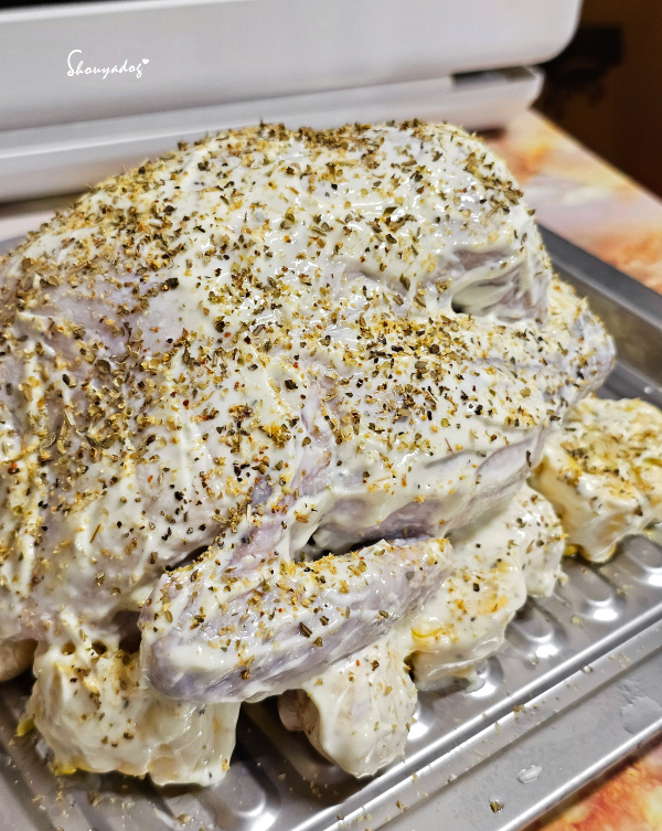 【廚房家電】Coz!i廚膳寶 直噴過熱水蒸氣 炙燒氣炸蒸烤爐 【廚房家電】Coz!i廚膳寶 直噴過熱水蒸氣 炙燒氣炸蒸烤爐