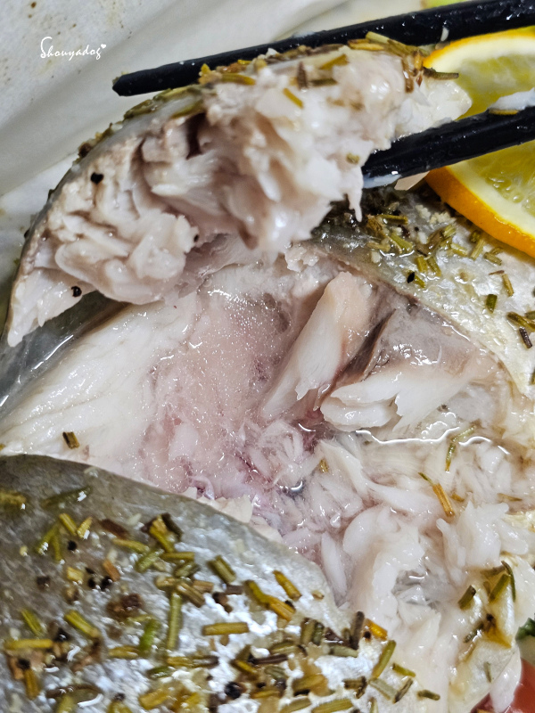 【廚房家電】Coz!i廚膳寶 直噴過熱水蒸氣 炙燒氣炸蒸烤爐 【廚房家電】Coz!i廚膳寶 直噴過熱水蒸氣 炙燒氣炸蒸烤爐