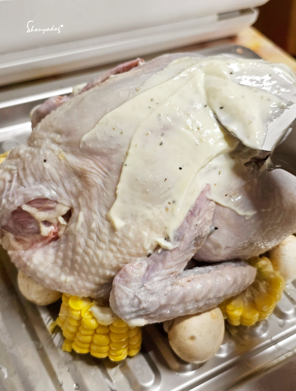 【廚房家電】Coz!i廚膳寶 直噴過熱水蒸氣 炙燒氣炸蒸烤爐 【廚房家電】Coz!i廚膳寶 直噴過熱水蒸氣 炙燒氣炸蒸烤爐