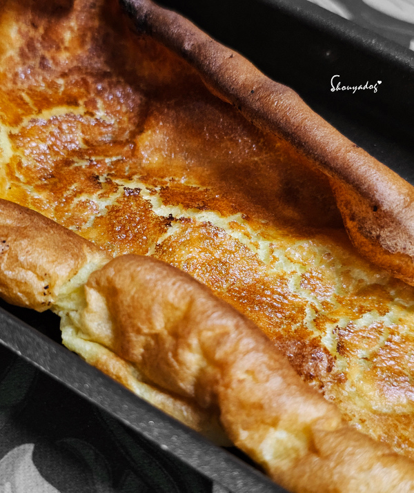 【廚房家電】Coz!i廚膳寶 直噴過熱水蒸氣 炙燒氣炸蒸烤爐 【廚房家電】Coz!i廚膳寶 直噴過熱水蒸氣 炙燒氣炸蒸烤爐