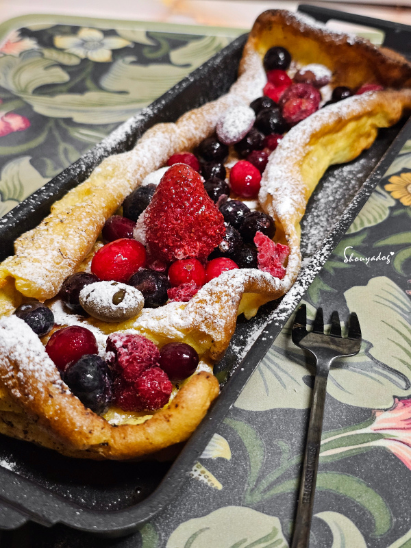 【廚房家電】Coz!i廚膳寶 直噴過熱水蒸氣 炙燒氣炸蒸烤爐 【廚房家電】Coz!i廚膳寶 直噴過熱水蒸氣 炙燒氣炸蒸烤爐