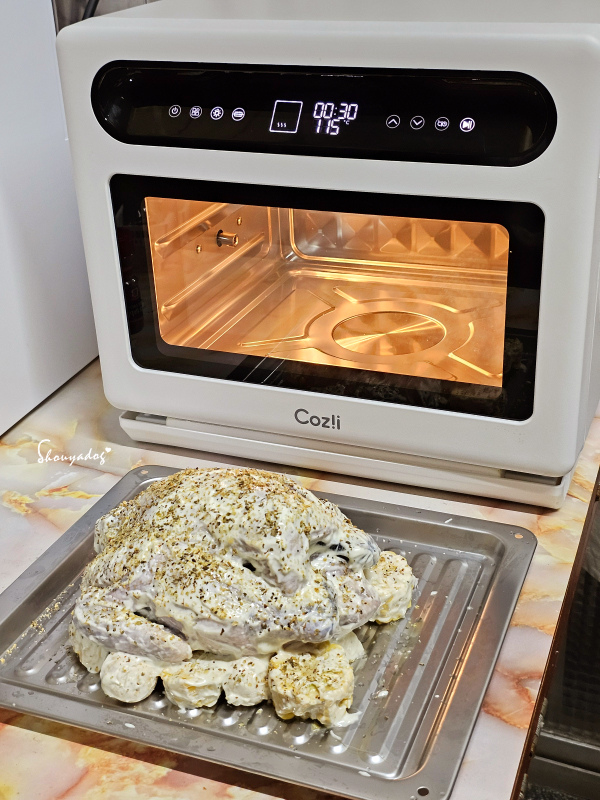 【廚房家電】Coz!i廚膳寶 直噴過熱水蒸氣 炙燒氣炸蒸烤爐 【廚房家電】Coz!i廚膳寶 直噴過熱水蒸氣 炙燒氣炸蒸烤爐