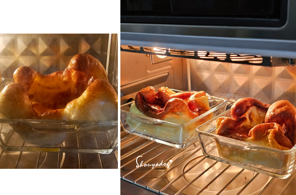 【新鮮乳品】義美無乳糖全脂鮮乳 新上市!