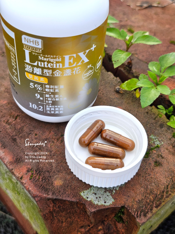 【保健食品】NHB 游離型金盞花葉黃素膠囊 設計人的保護視野 【保健食品】NHB 游離型金盞花葉黃素膠囊 設計人的保護視野