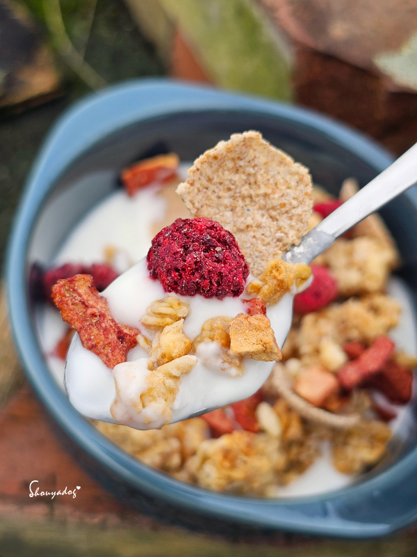 【每日配送羊奶推薦】豐新鮮羊乳 5MILK五梅鮮乳 5MIL