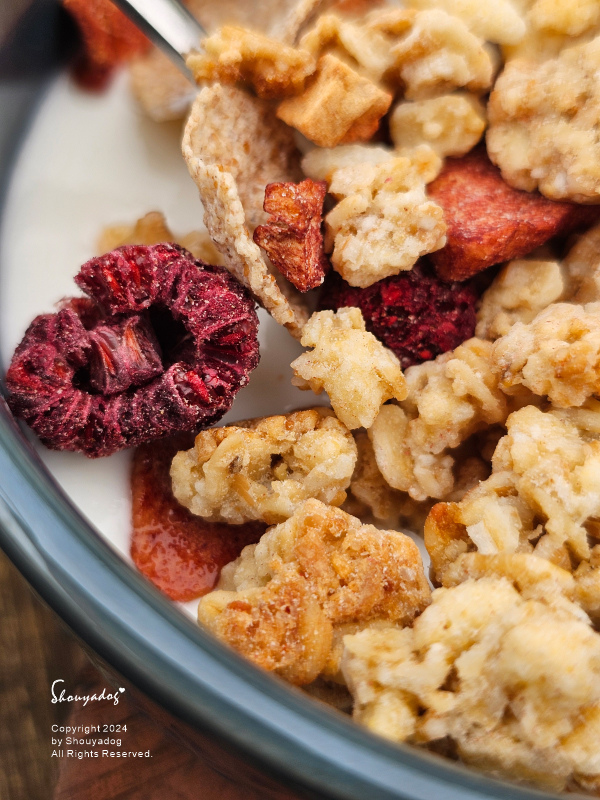 【每日配送羊奶推薦】豐新鮮羊乳 5MILK五梅鮮乳 5MIL