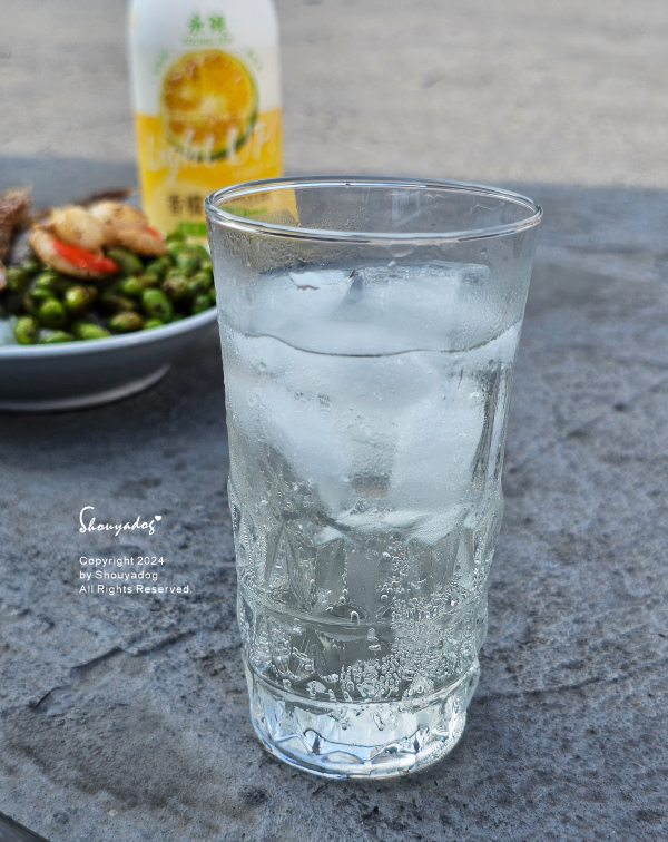 【健康機能飲】永禎 香檬氣泡飲 低卡好喝氣泡飲分享 炎夏解渴